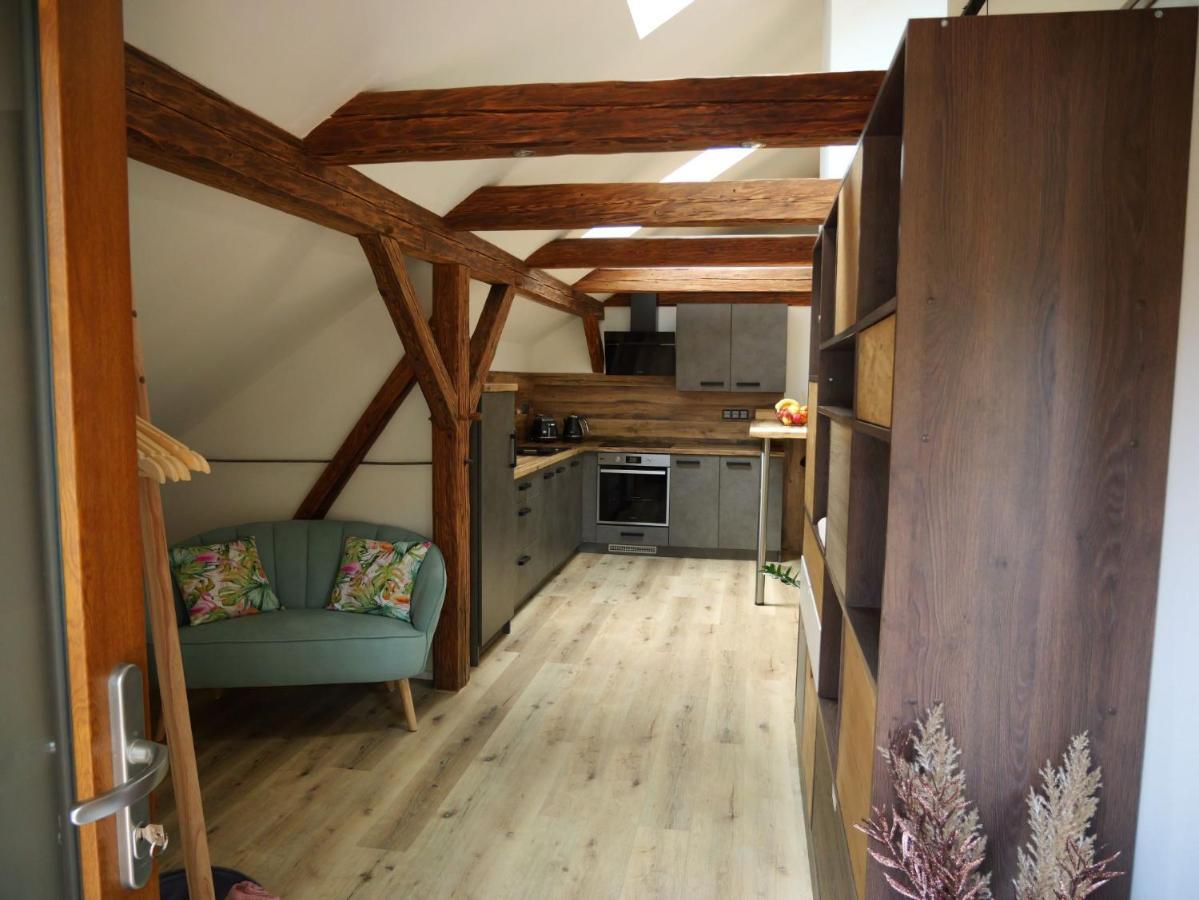 Apartman Danuse Česká Lípa Exterior foto